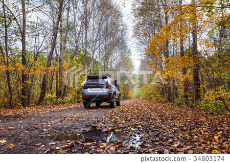 Off road car on dirt road in autumn forest 34803174