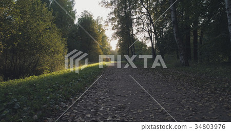 pov walk shot in wild park in september at sunset 34803976