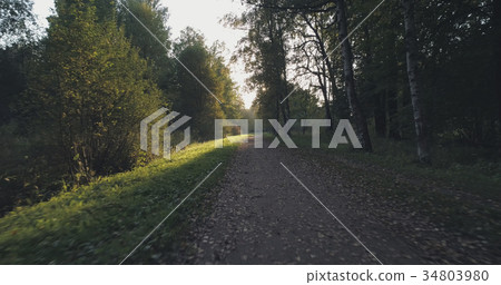 pov walk shot in wild park in september at sunset 34803980