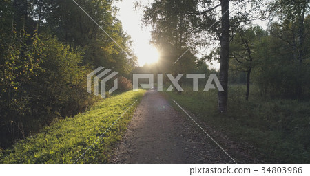 pov walk shot in wild park in september at sunset 34803986