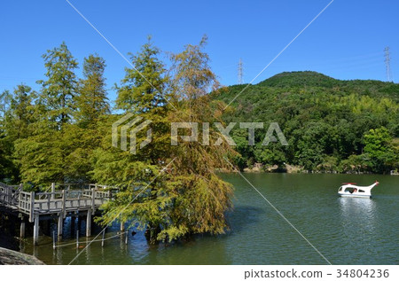 春日井市都市綠化植物園 34804236