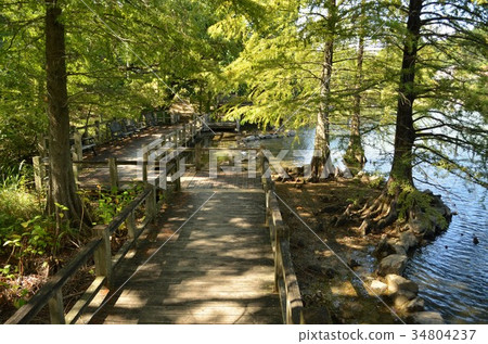 春日井市都市綠化植物園 春日井市都市綠化植物園 34804237