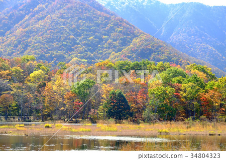 Fall of Kannon-numa Forest Park Fall of Kannon-numa Forest Park 34804323