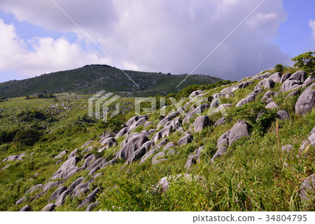 Autumn's Hiraodai 34804795