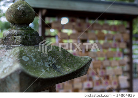 Fortune Ema Fortune Ema 34804929