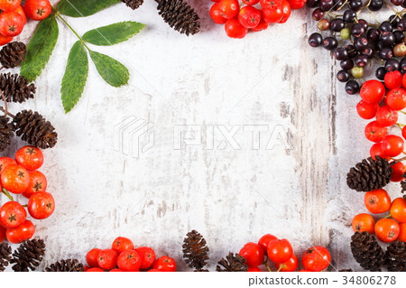 Frame of autumn fruits of forest Frame of autumn fruits of forest 34806278