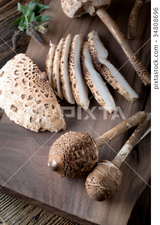 Macrolepiota procera a very tasty edible mushroom Macrolepiota procera a very tasty edible mushroom 34808696