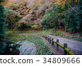 Autumn scenery forest at Minoo waterfall, Osaka 34809666