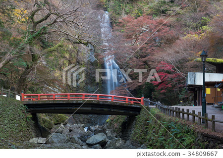 Minoo waterfall in autumn, Osaka, Japan 34809667