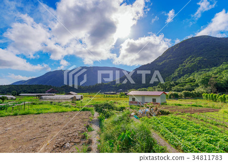 Countryside farmland in Taiwan 34811783