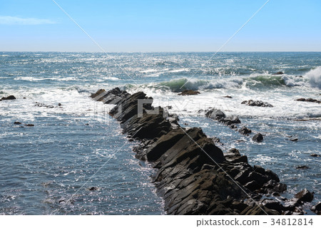Cretaceous Formation (Hitachinaka City, Hirano-shi, Amagasaki Coast) Cretaceous Formation (Hitachinaka City, Hirano-shi, Amagasaki Coast) 34812814