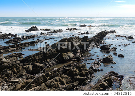 白堊紀組(平野市,平野市,尼崎海岸) 白堊紀組(平野市,平野市,尼崎海岸) 34812815