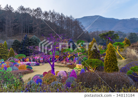 Morning Calm Arboretum, Gapyeong-gun, Gyeonggi-do Morning Calm Arboretum, Gapyeong-gun, Gyeonggi-do 34813184