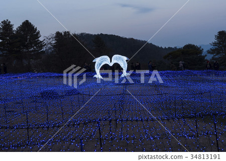 Morning Calm Arboretum, Gapyeong-gun, Gyeonggi-do Morning Calm Arboretum, Gapyeong-gun, Gyeonggi-do 34813191