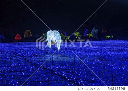 Morning Calm Arboretum, Gapyeong-gun, Gyeonggi-do Morning Calm Arboretum, Gapyeong-gun, Gyeonggi-do 34813196