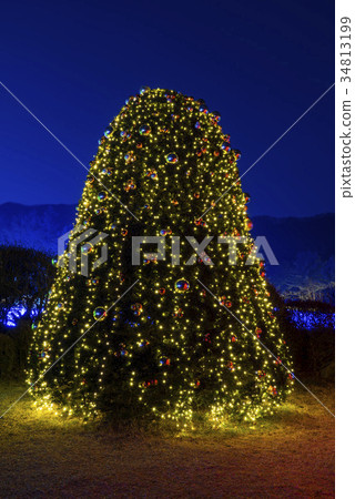 Morning Calm Arboretum, Gapyeong-gun, Gyeonggi-do 34813199