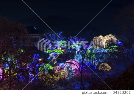 京畿道加平郡早晨平靜植物園 34813201