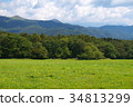 Clouds, mountains and meadows Clouds, mountains and meadows 34813299