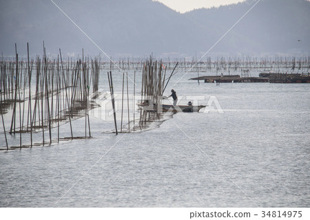 Shrimp farm, Jangheung-gun, Jeonnam 34814975