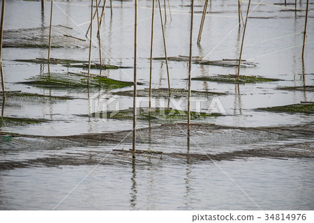 養殖場，昌興郡，全南 34814976