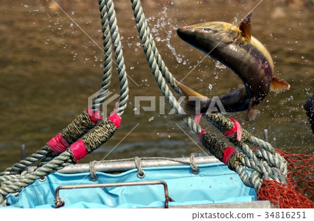 Captive capture 34816251