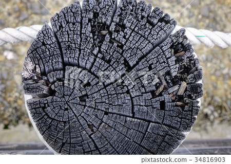 Wood circle texture slice Wood circle texture slice 34816903