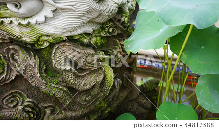 Dragon statue with lotus plants for decoration Dragon statue with lotus plants for decoration 34817388
