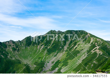 Senjogatake Daisenjo Curl 34817555