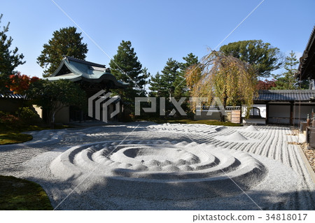 高台寺 高台寺 34818017