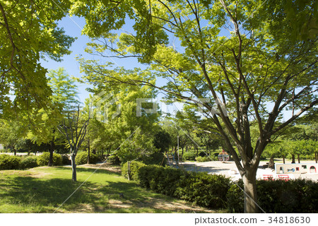 太陽岡山公園草坪和遊樂設備 太陽岡山公園草坪和遊樂設備 34818630