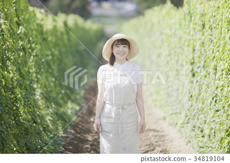 Nagamine Yamakasa Mukada 34819104