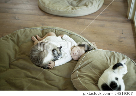 Sleeping baby and cat 34819307