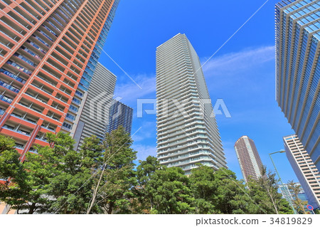 Musashi Kosugi Tall Buildings Group Musashi Kosugi Tall Buildings Group 34819829