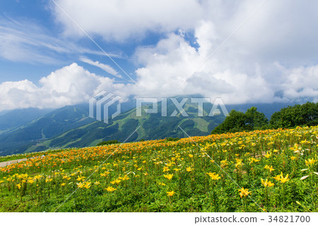 Hakuba Iwatake Yurien Hakuba Iwatake Yurien 34821700