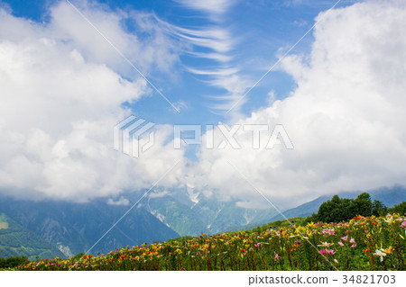 Hakuba Iwatake Yurien 34821703