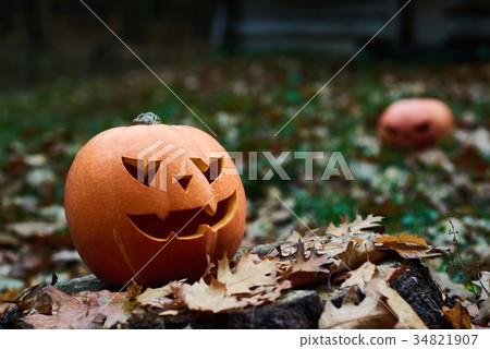 Shot of Halloween pumpkin jack head 34821907