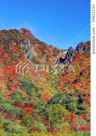 那須旭日學園秋葉 34822150