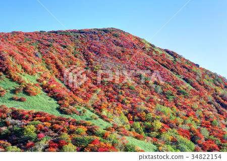 那須旭日學園秋葉 34822154