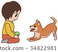 Shiba Inu asking for throwing a ball 34822981