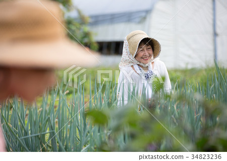 Farm work scenery Farm work scenery 34823236