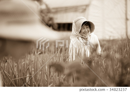 Farm work scenery Farm work scenery 34823237