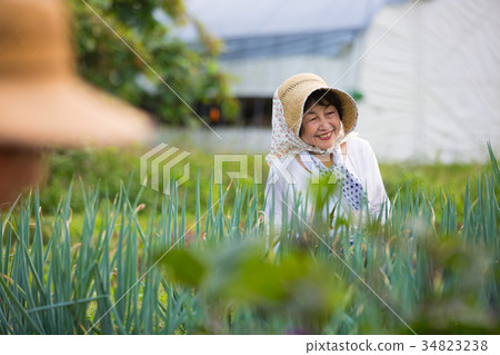 Farm work scenery 34823238