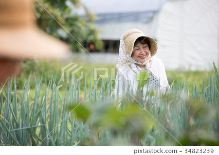 農場工作風光 34823239