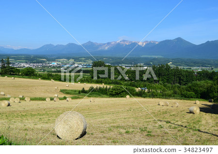 Grass roll 34823497