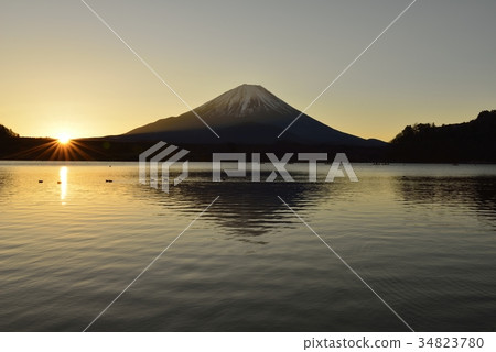 松蔭湖的早晨 34823780