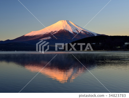 紅富士顛倒了 34823783