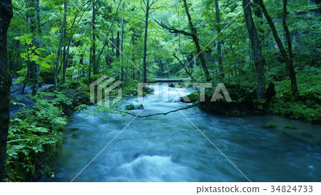 Oirase stream Oirase stream 34824733