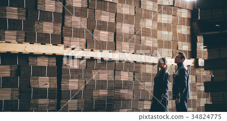 Paper mill factory workers Paper mill factory workers 34824775