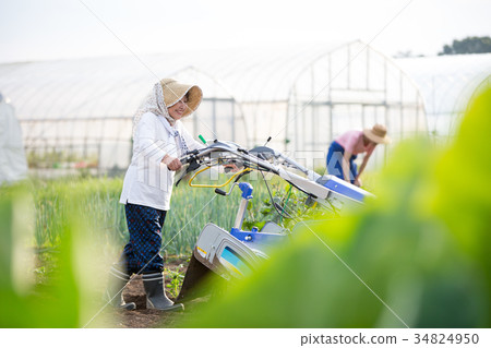 Farm work scenery Farm work scenery 34824950
