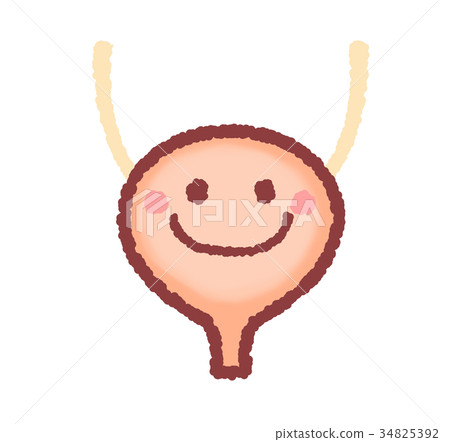 健康的膀胱 健康的膀胱 34825392